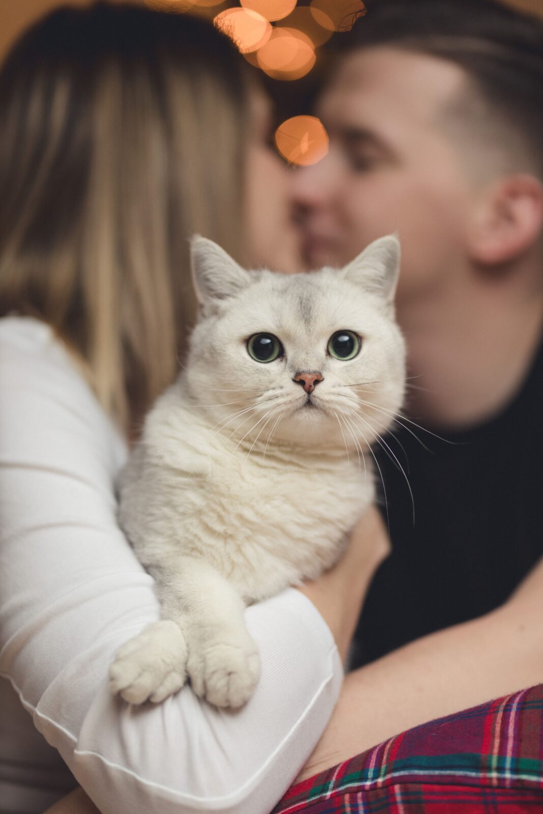 Jõuluteemaline fotosessioon